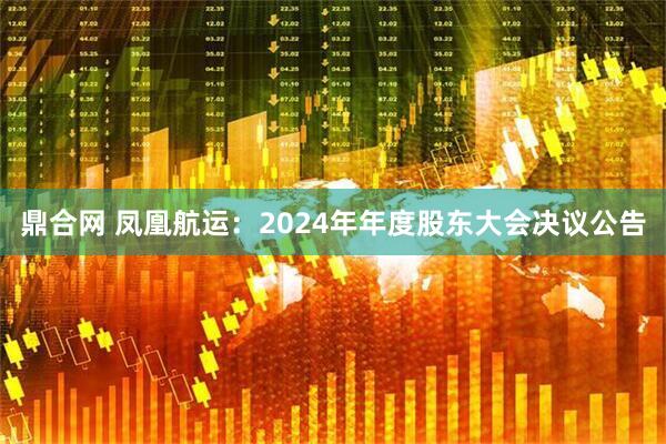 鼎合网 凤凰航运：2024年年度股东大会决议公告