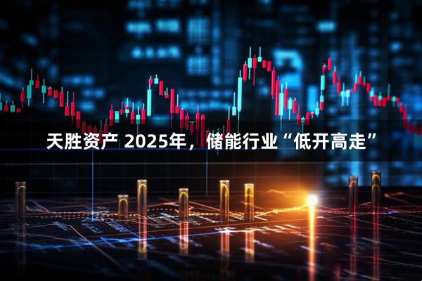 天胜资产 2025年，储能行业“低开高走”