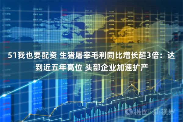 51我也要配资 生猪屠宰毛利同比增长超3倍：达到近五年高位 头部企业加速扩产